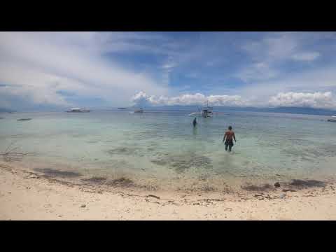 Moalboal - Nipa huts on the beach