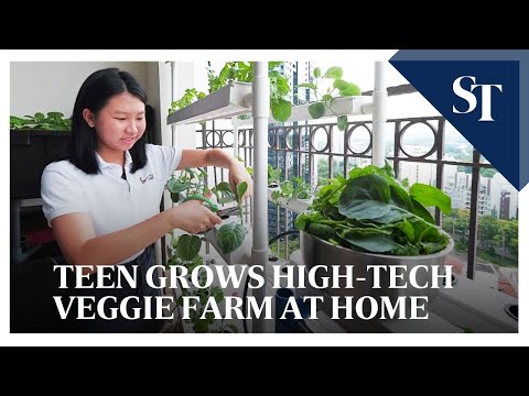 , title : 'Teen grows sustainable hydroponic farm at home'