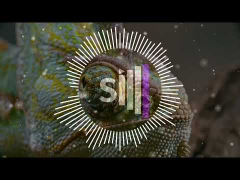 RPA, LIFT TUBE, MNDCTRL - BEATCH KILLA | 2025