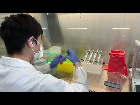 Tour the Biophotonics Lab