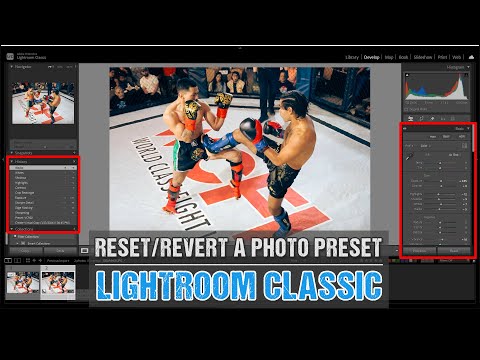 Lightroom Classic: How to Unset or Revert a Preset on a Photo Without Deleting Other Adjustments