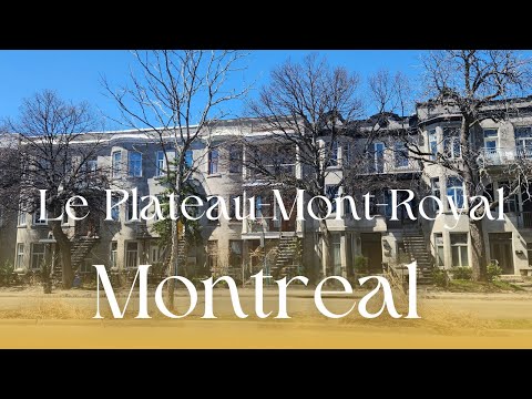 Montreal Walk: Le Plateau Mont-Royal #montreal #montrea2024 #travel #sanfrancisco