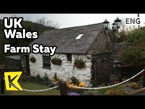 , title : '【K】UK Travel-Wales[영국 여행-웨일스]동화같은 팜 스테이 농장/Farm Stay/Agritourism'