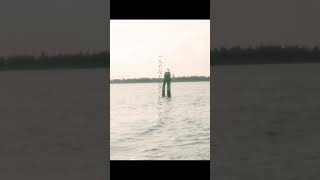 【RADWIMPSトリビュート】オーダーメイド arranged by 二ノ宮はぐ #radwimps #オーダーメイド #トリビュート #cover #歌ってみた #アレンジ