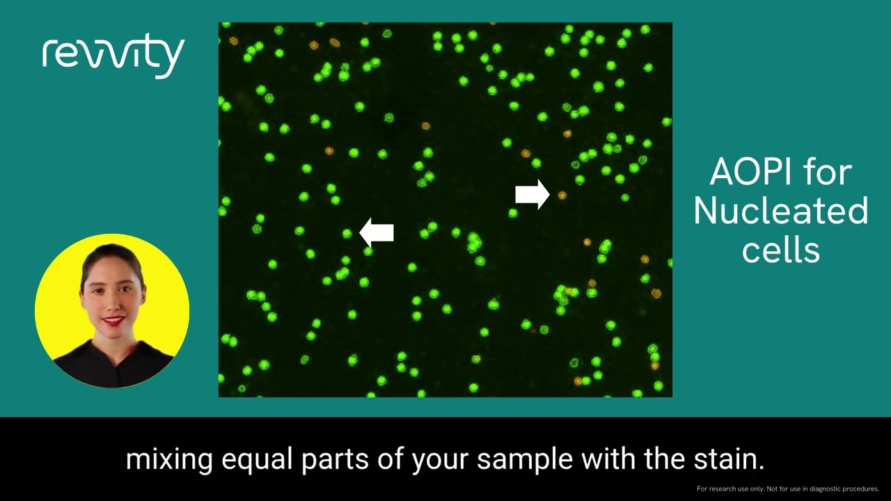 Cell counting using fluorescent dyes