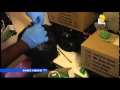 29 Drug Suspects Set To Appear Before Court