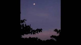 Bài hát Moon & Night - Nghệ sĩ trình bày Eden Sunshine (Nguyen Tien Hung)