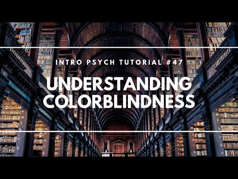 Introduction to Sensation and Perception Intro Psych Tutorial 40