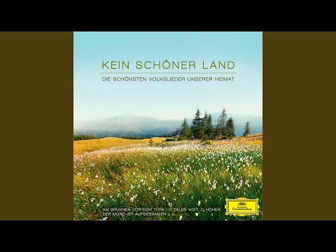 Land der dunklen Wälder