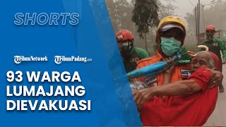 Muntahan Awan Panas Gunung Semeru Mencapai 19 Kilometer, 93 Warga Lumajang Dievakuasi