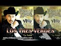 Los Tres Verdes - Lupillo Rivera 14 super exitos disco oficial