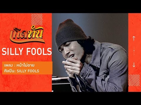 【เกิดทัน】หน้าไม่อาย - SILLY FOOLS