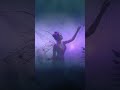 The Most Hypnotic Enchanting Fantasy Fairy Music Shorts