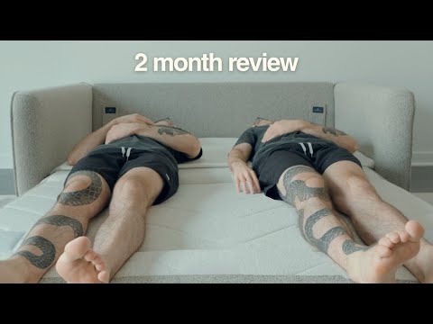 koala sofa bed 2 month review