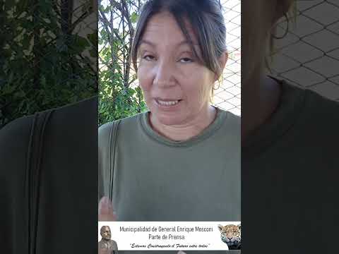 Los servicios de recolección