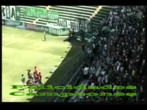 cometa maldonado 2011