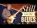 Martin Miller Andy Timmons Still Got The Blues Gary Moore Cover Live In Studio