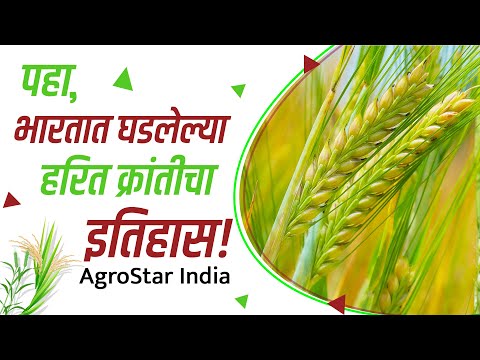 शेतीचा इतिहास - भारतीय हरित क्रांतीचे जनक!
