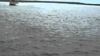 preview picture of video 'Dolphins at the Shark Hole, Intracoastal near Capers Island'