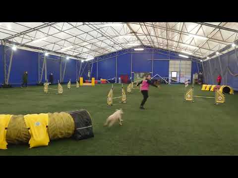 14.10.23. Agility exam A1. Lulu 1 course