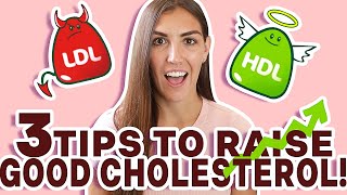 How to Raise HDL Cholesterol NATURALLY! (3 EASY STEPS)