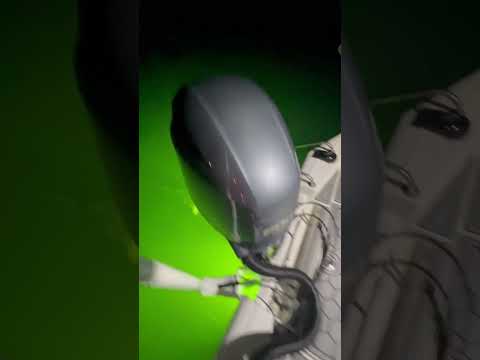 LumaShore underwater lights on a Avid Aluminum bay boat.