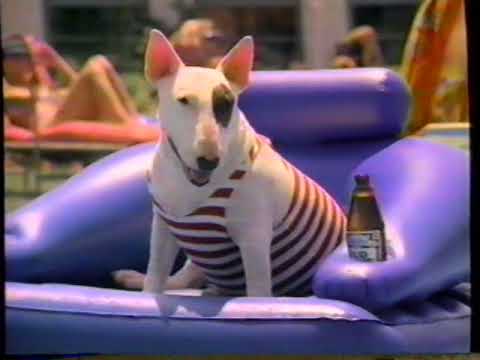 1987 Bud Light "Spuds MacKenzie Party Animal" TV Commercial