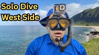 Solo Spearfishing Hawaiis Westside