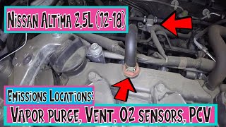 ⫷ Nissan Altima Emissions / Smog Locations: PCV, Oxygen sensors, Vapor Purge and Vent 2.5L 12 - 18 ⫸