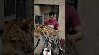 Download lagu Anjir saha eta #god #funny #like #skull #comedy #yt #ytshorts #ytviral #ytshort #ytstudio #shorts mp3