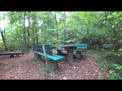 Wandern in Lausen mit der Sony FDR X3000V am 8 Okt 2022