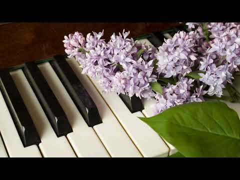 Unis Abdullaev - Lilac Garden (Piano, instrumental)