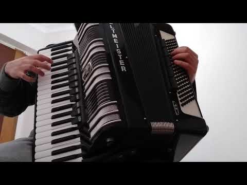 Moj Dilbere - Weltmeister S4 Double Cassotto - Accordion - Akordeon
