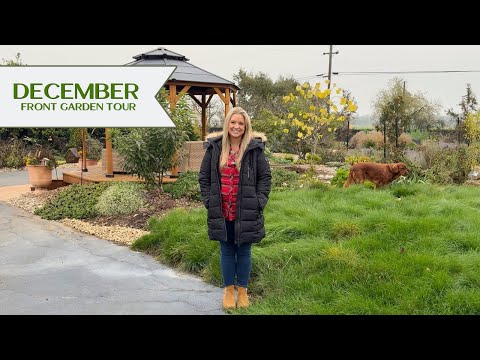 Even Without Sun… ✨The December Garden Shines✨ December Front Garden Tour