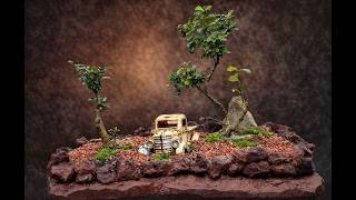 Repairing and repotting a penjing