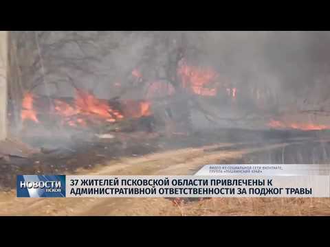 04.04.2019 / 37 жителей Псковской области привлечены к административной ответственности за поджог травы