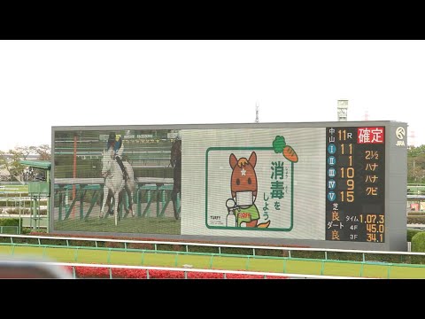 2021.04.11 第81回桜花賞（G1）ソダシ　史上初！白毛馬のクラシック制覇！【中山競馬場ターフビジョン】