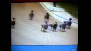 Shake the Mountain in Delta Downs, (El Pinguino)