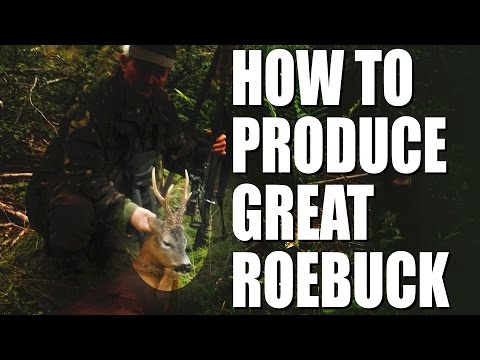 How to produce great roebuck How to produce great roebuck