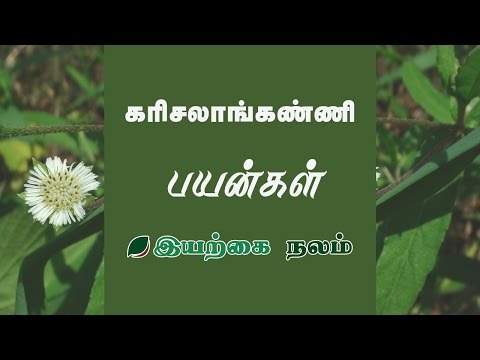 Karisalankanni powder benefits in tamil