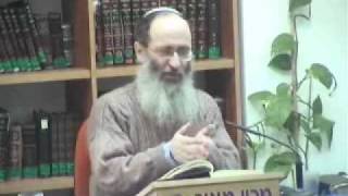 15208-5 הסוד שבכלבים