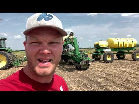 Planting SUNFLOWERS After Wheat (Double Crop 2021)