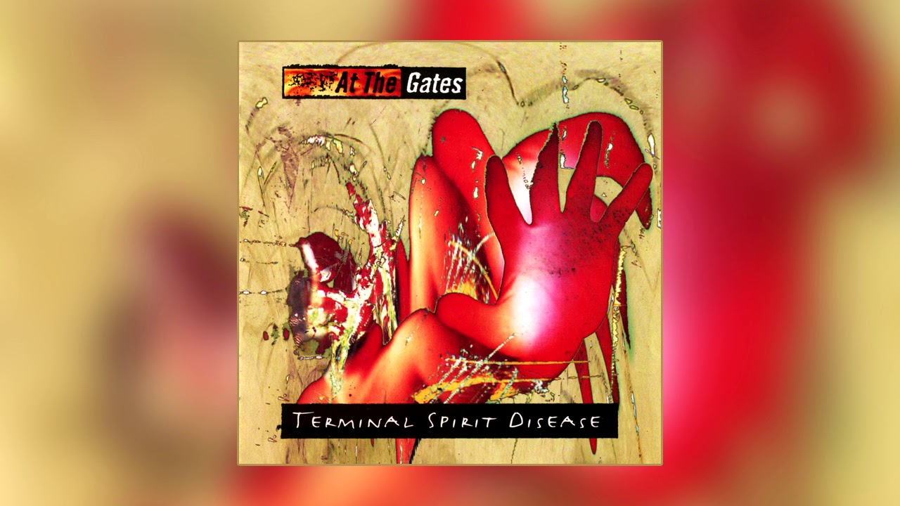 Vista previa del video en Youtube