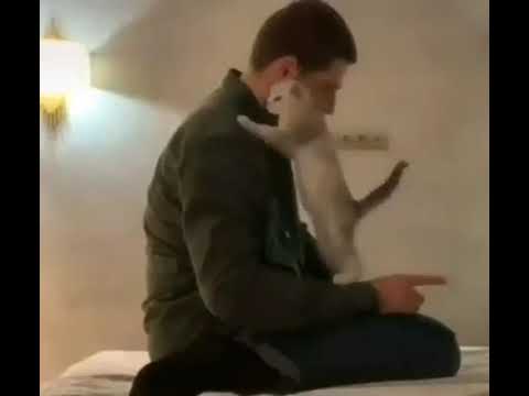 Namaz prayer by a cat