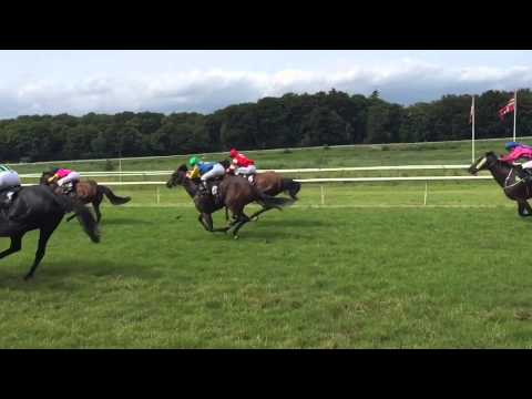 Horses in slow motion  Klampenborg Galopbane, Copenhagen,