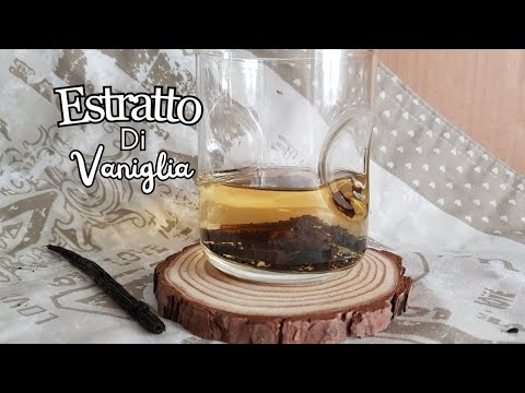 Homemade VANILLA EXTRACT cold method!