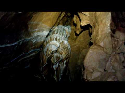 Peştera Bârlogul Ursului 2