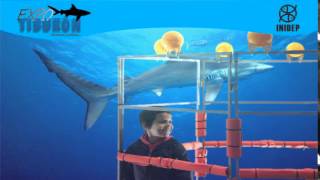 DIA 2 Expo Tiburon90