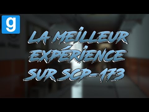 SCP RP // LA MEILLEUR EXPÉRIENCE SUR SCP-173 - Garry's Mod