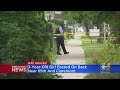 3 Year Old Girl Grazed In Back In Chicago Lawn